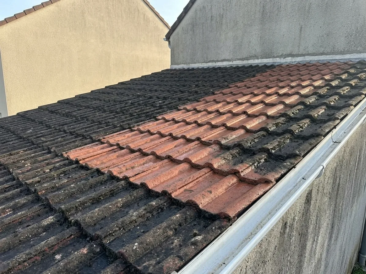 Démoussage de toiture à Dammarie-les-Lys Démoussage de toiture à Dammarie-les-Lys